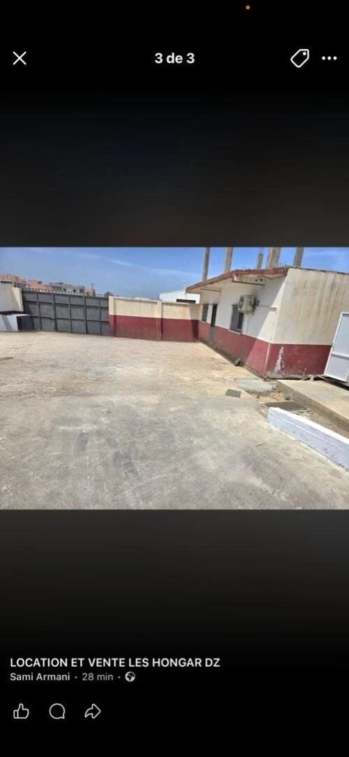 Location Hangar - Usine Boumerdès Ouled hedadj