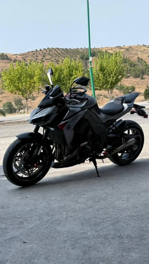 Kawasaki Z1000 Robo 2018