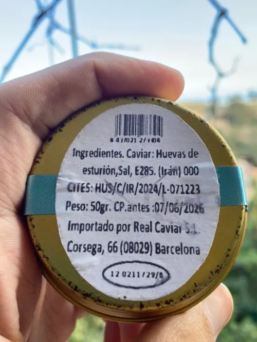 Caviar béluga Irani venu dEspagne 50gr