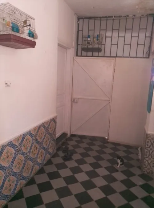 Vente Appartement F6 Blida Blida