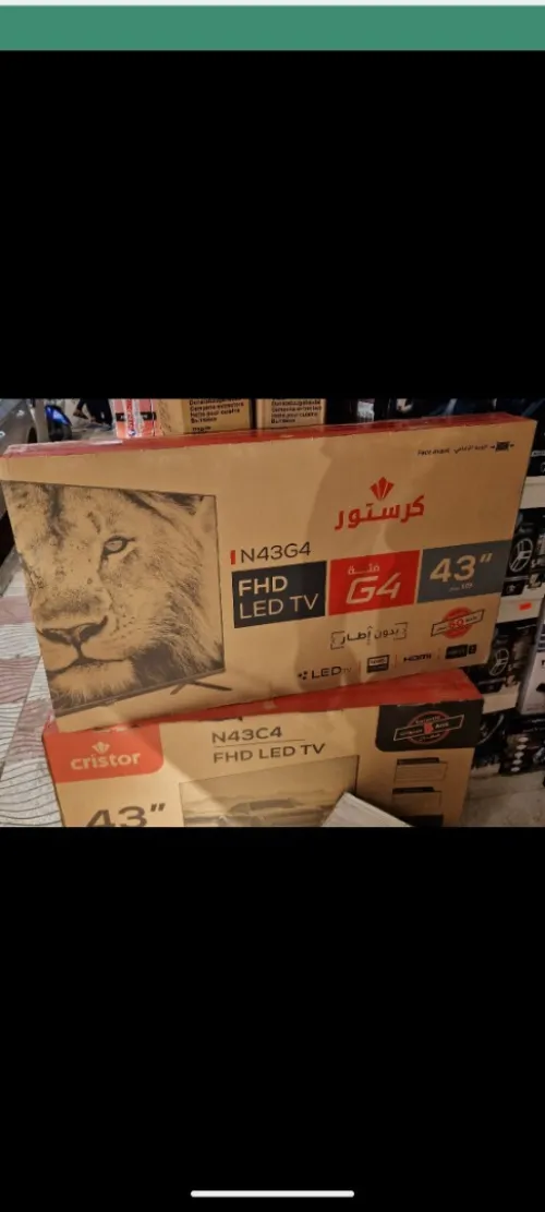 الجزائر 