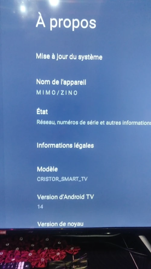 TELEVISEUR CRISTOR GOOGLE TV