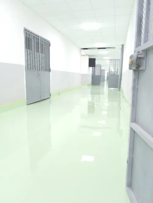 Resine epoxy 