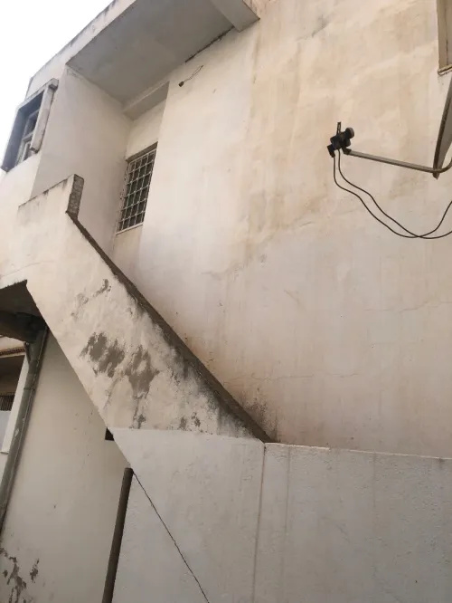 Location Appartement Studio Alger Dely brahim