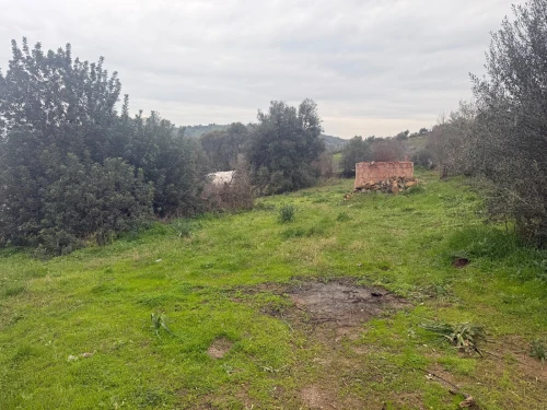 Vente Terrain Boumerdès Bouzegza keddara