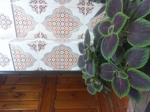 Location vacances Appartement F2 Alger Alger centre