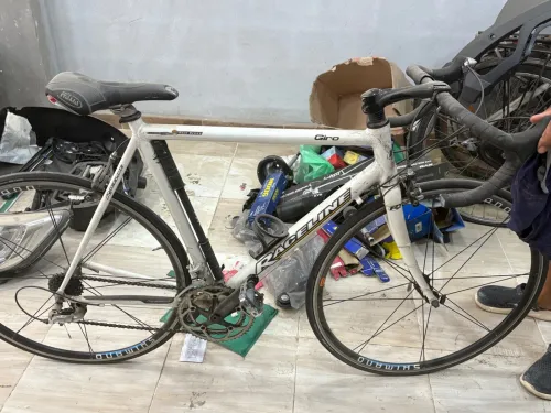 Vélo de course professionnelle