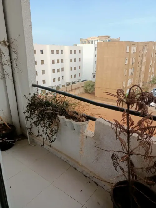 Location Appartement F2 Alger Staoueli