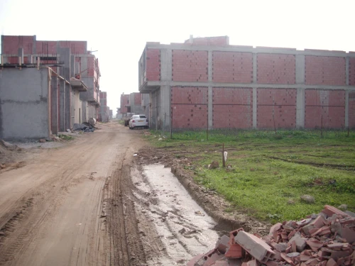 Vente Terrain Alger Tessala el merdja