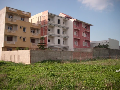 Vente Terrain Alger Tessala el merdja