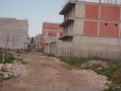 Vente Terrain Alger Tessala el merdja