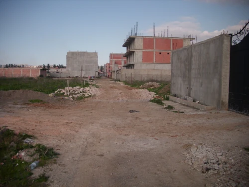 Vente Terrain Alger Tessala el merdja