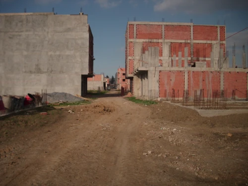 Vente Terrain Alger Tessala el merdja