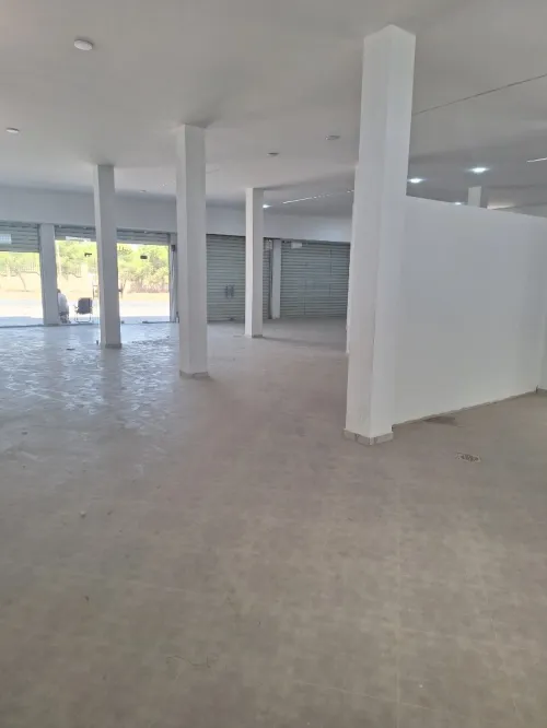 Location Local Mila Chelghoum laid