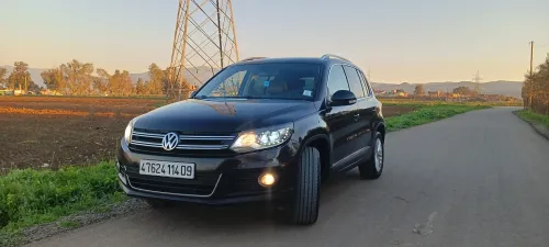Volkswagen Tiguan 2014 Cup