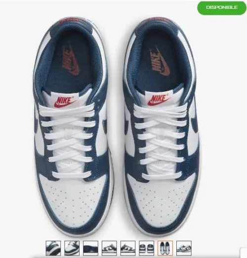 Nike Dunk Low Valerian Blue