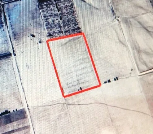 Vente Terrain Agricole Saïda Saida
