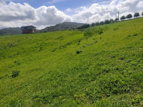 Vente Terrain Agricole Jijel Chekfa