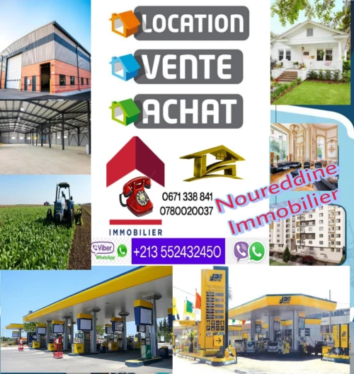 Location Terrain Blida Blida