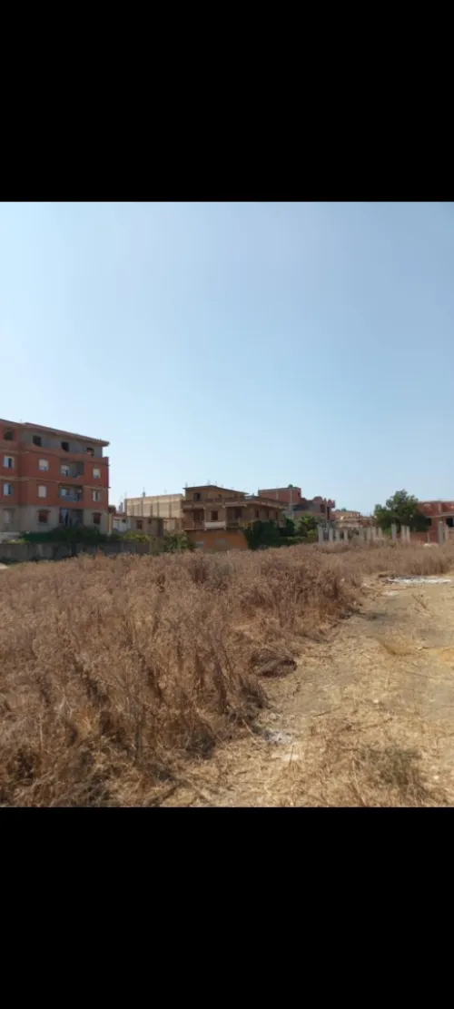 Vente Terrain Alger Les eucalyptus