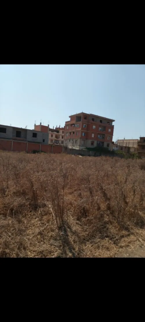Vente Terrain Alger Les eucalyptus