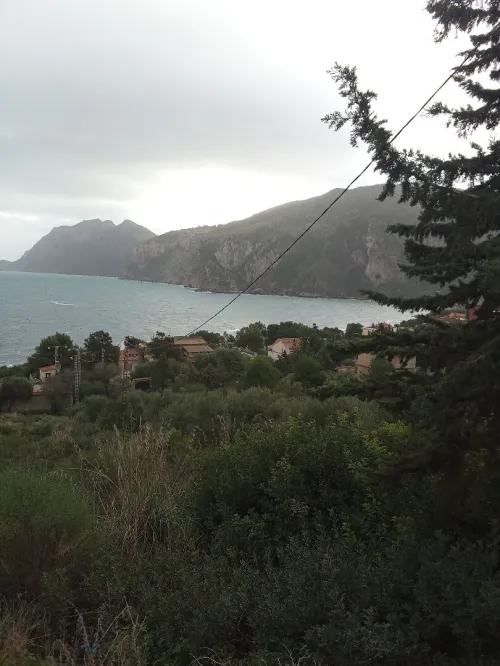 Vente Terrain Béjaïa Bejaia