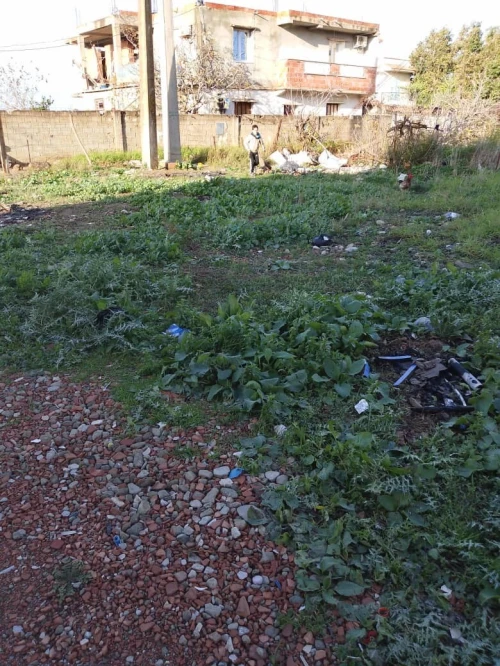 Vente Terrain Blida Meftah