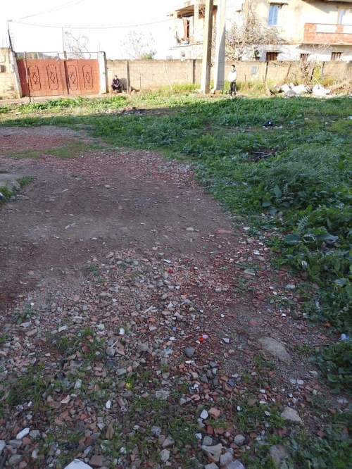 Vente Terrain Blida Meftah