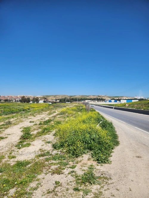 Vente Terrain Constantine El khroub