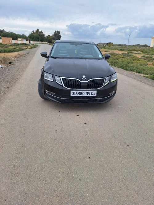 Skoda Octavia 2019 Clever