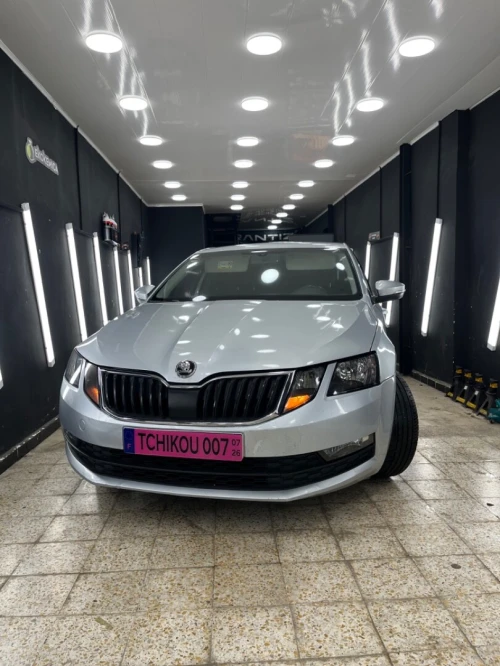 Skoda Octavia 2019 Business