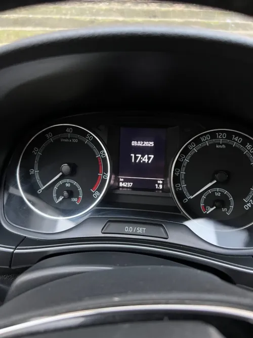 Skoda Fabia 2021 DRIVE