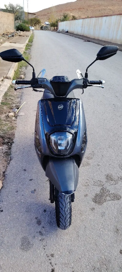 vms estate-x 2020