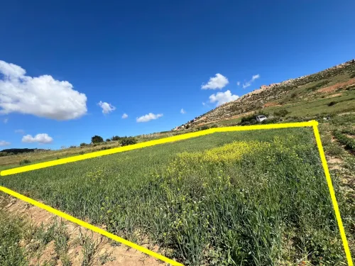 Vente Terrain Chlef Taougrite