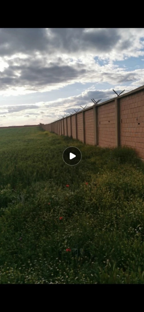 Vente Terrain Sétif Ain arnat