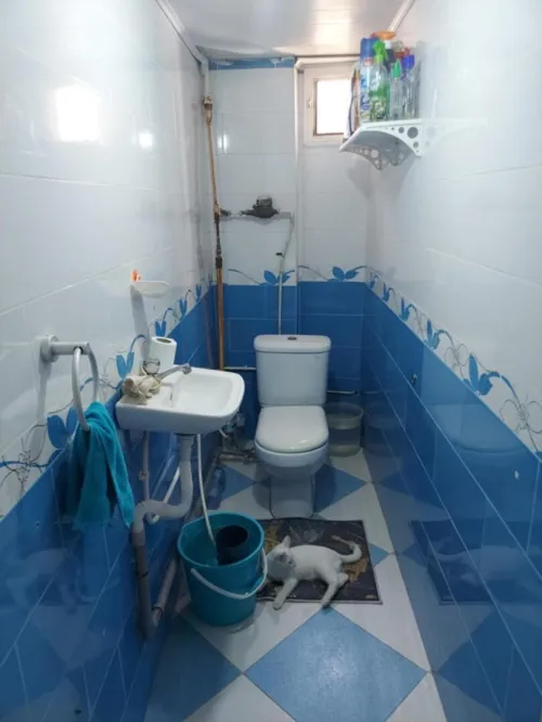 Vente Appartement F4 Alger Alger centre