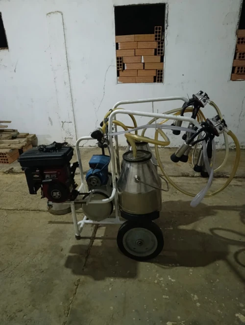 Machine vache laitière