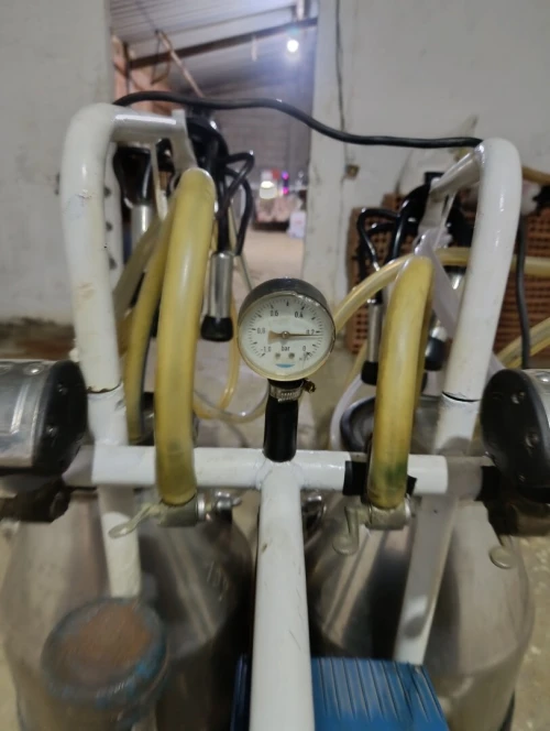 Machine vache laitière