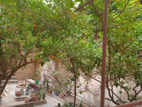 Vente Villa Sidi Bel Abbès Sidi bel abbes
