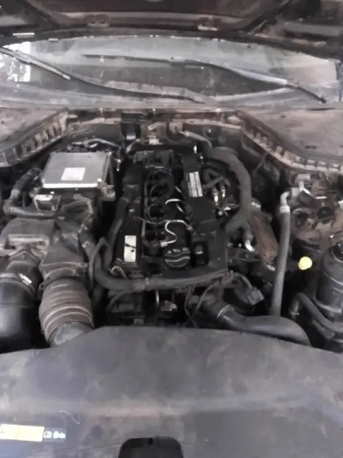 Infiniti Q50 2019 Q50