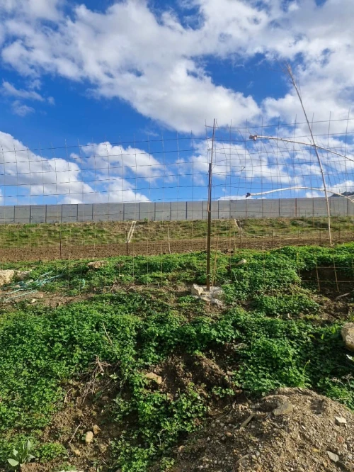 Vente Terrain Tipaza Cherchell