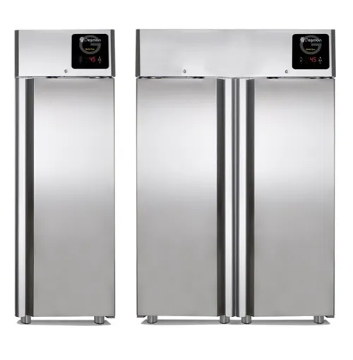Armoire négative (desmon) 700/1400 litres 