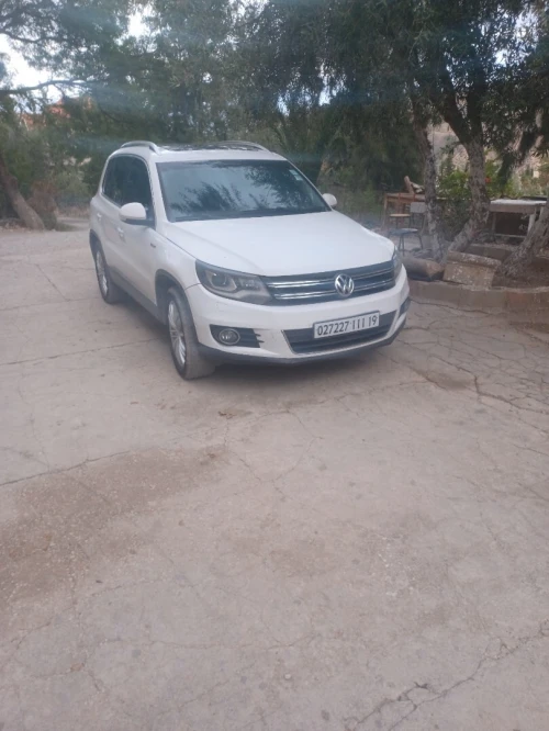 Volkswagen Tiguan 2011 TrendLine