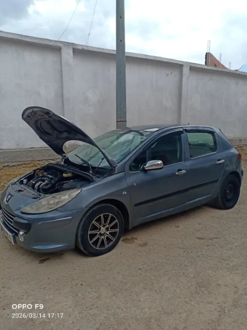 Peugeot 307 2006 Oxygo