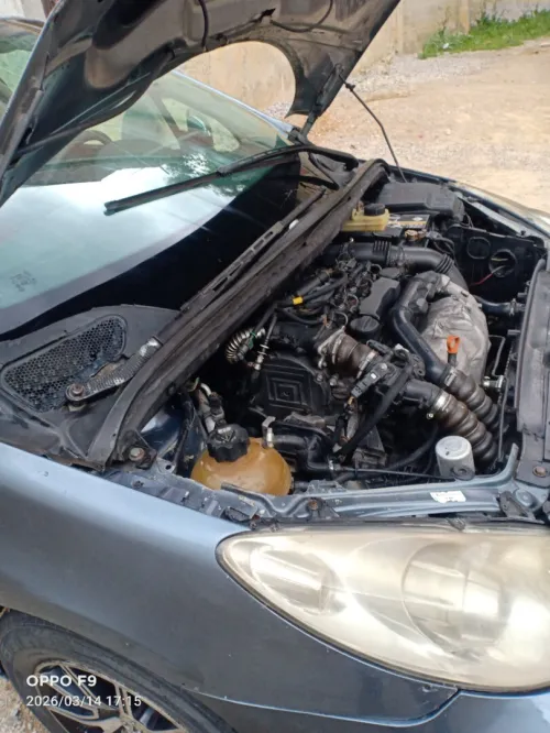 Peugeot 307 2006 Oxygo