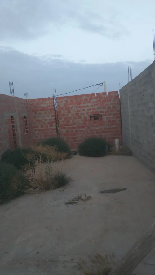 Vente Terrain Tébessa Bir el mokadem