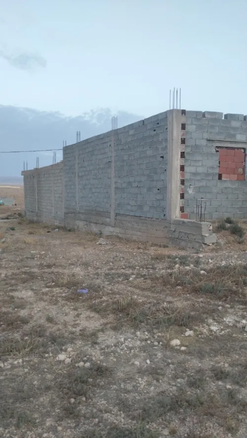 Vente Terrain Tébessa Bir el mokadem