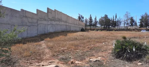 Vente Terrain Tlemcen Ain fezza