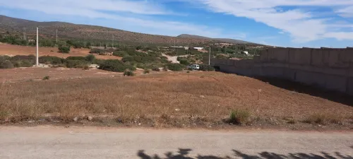 Vente Terrain Tlemcen Ain fezza
