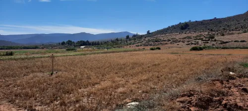 Vente Terrain Tlemcen Ain fezza